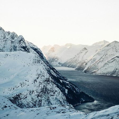 Unik Leilighet I Alesund Sentrum Exteriör bild